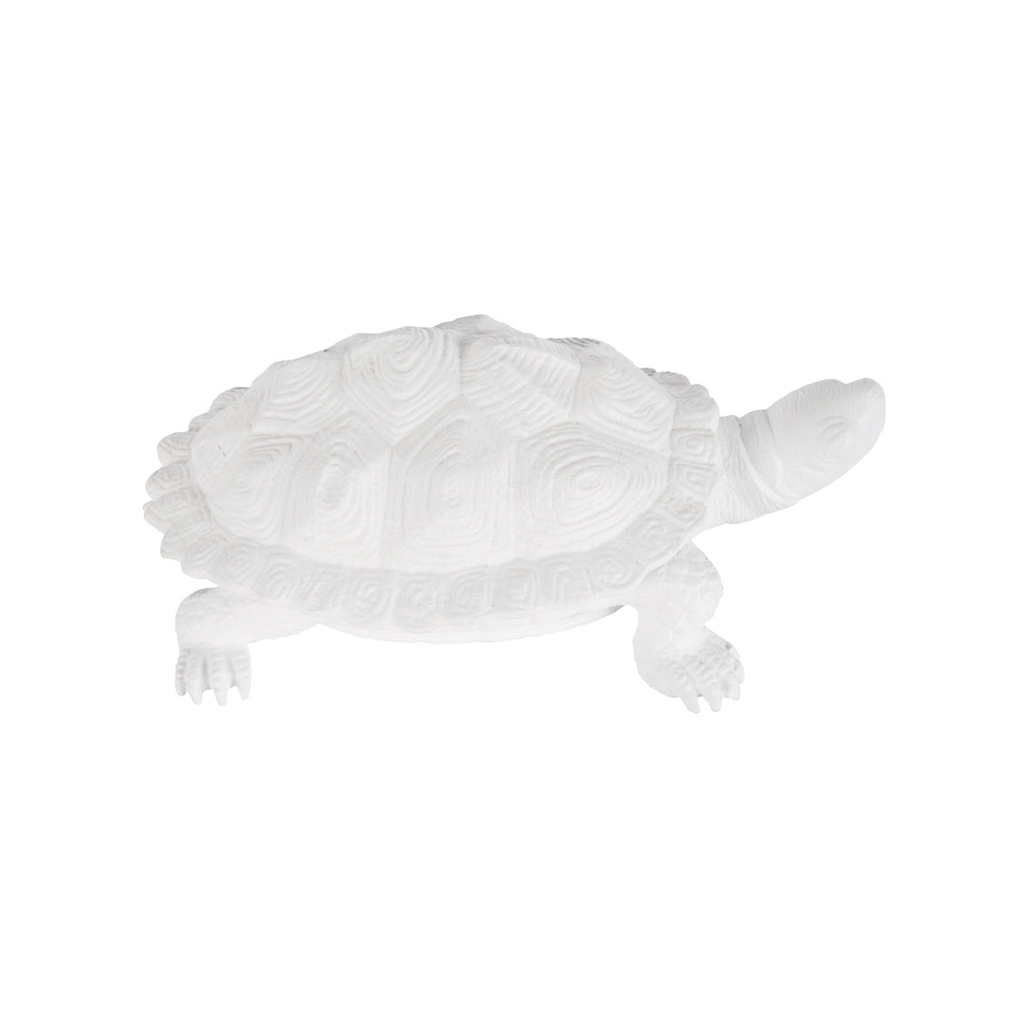 Chelsea House Turtle White