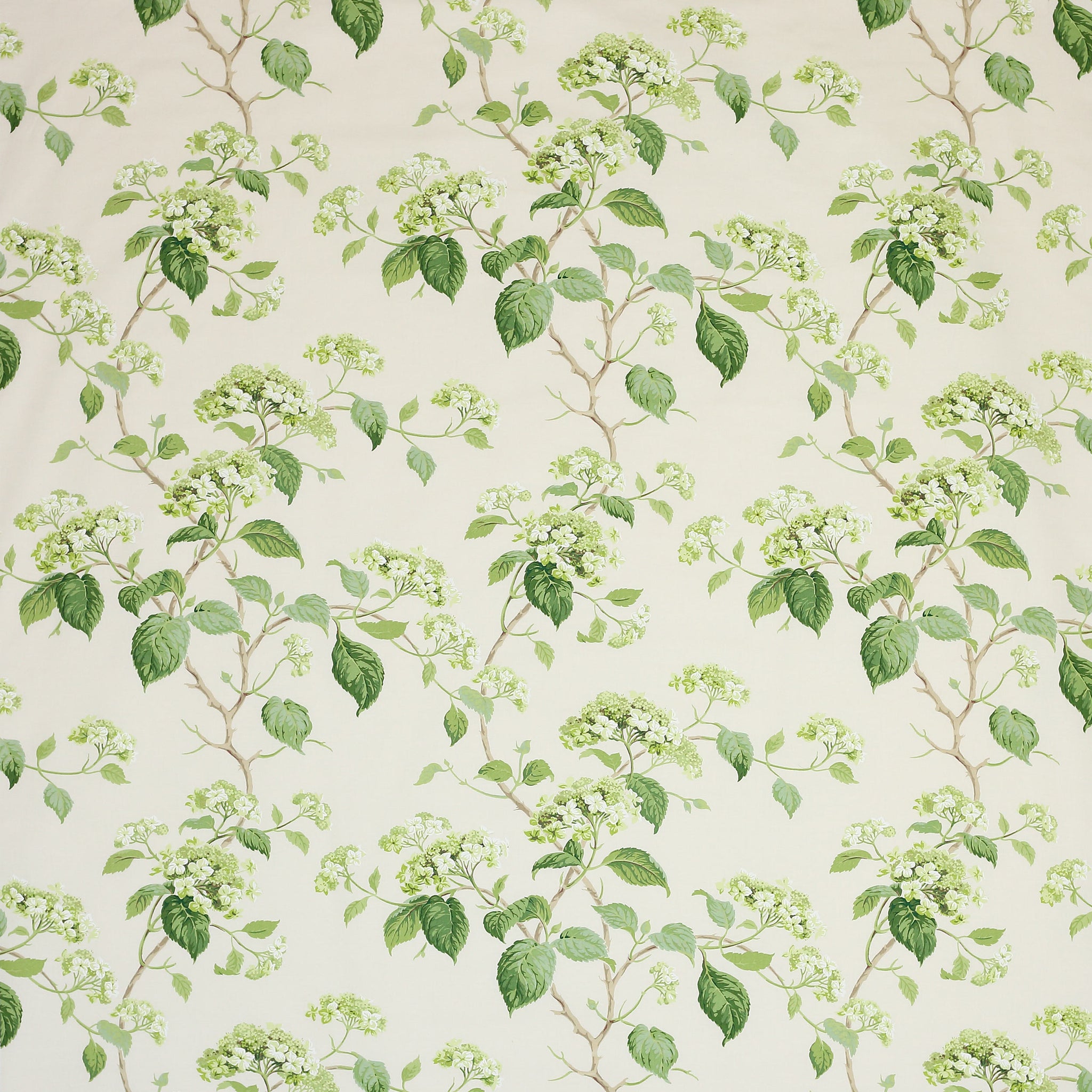 Colefax and Fowler Summerby Fabric