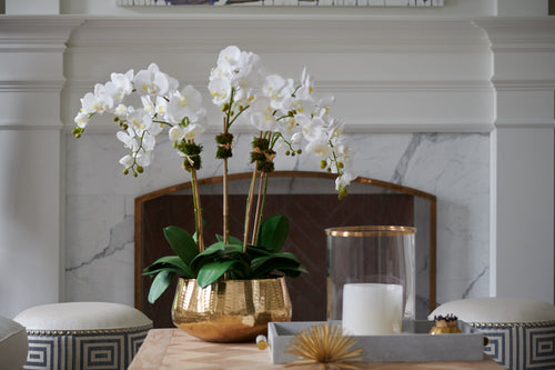 Diane James Phalaenopsis Orchid, 5 Stems, In Gold Bowl