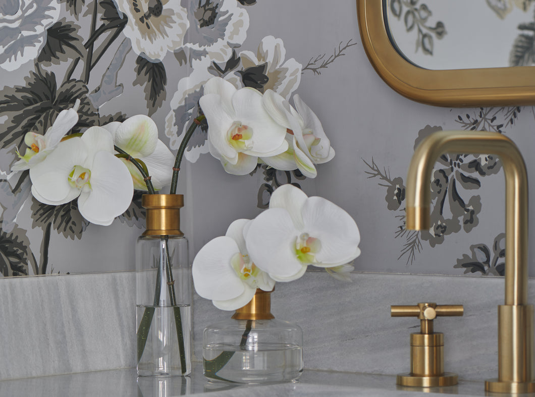 Diane James Phalaenopsis Orchids, Set Of 2, In Glass Bud Vases