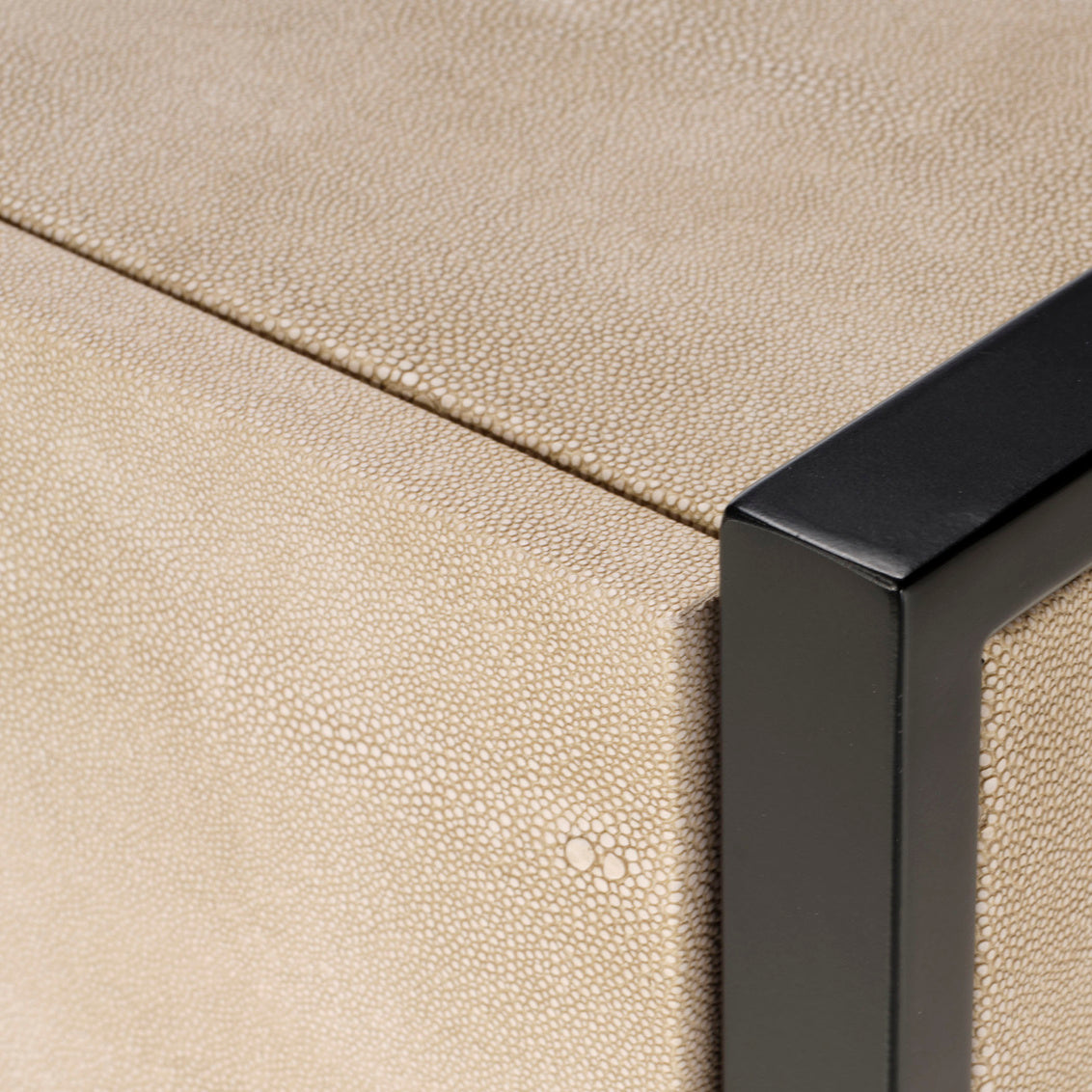 Cassius Faux Shagreen 2 Drawer Console, Taupe Lifestyle by JY