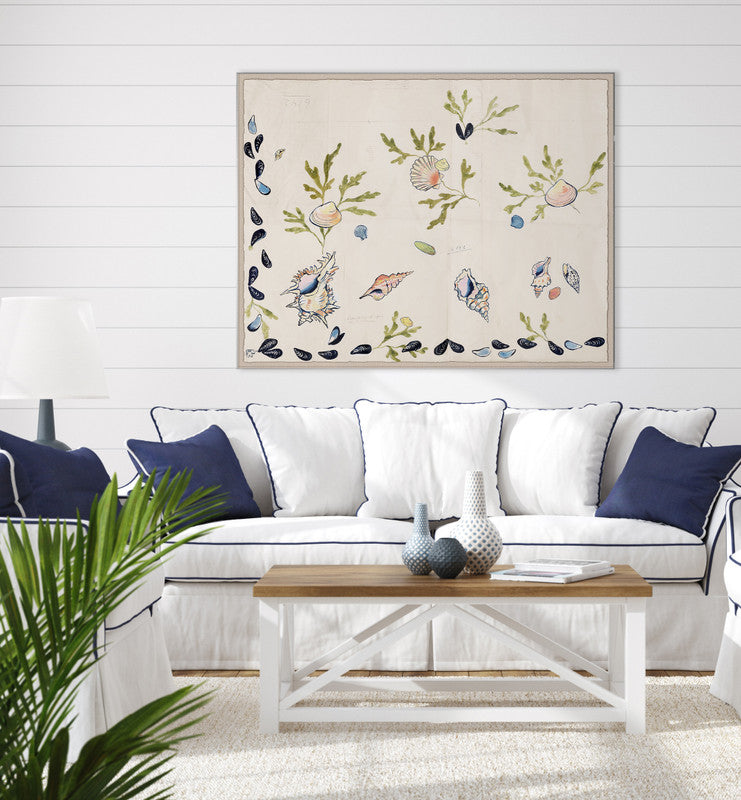 Paule Marrot Shell 2 Art