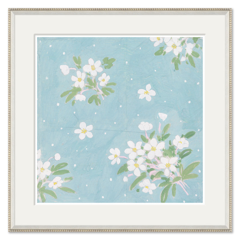 Paule Marrot Roses De Noel