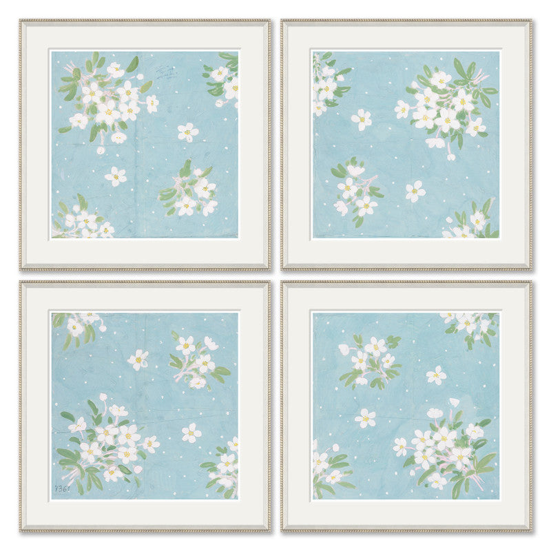 Paule Marrot Roses De Noel