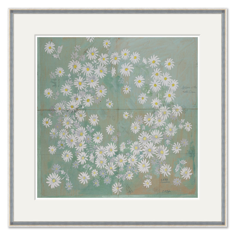 Paule Marrot Daisies Art
