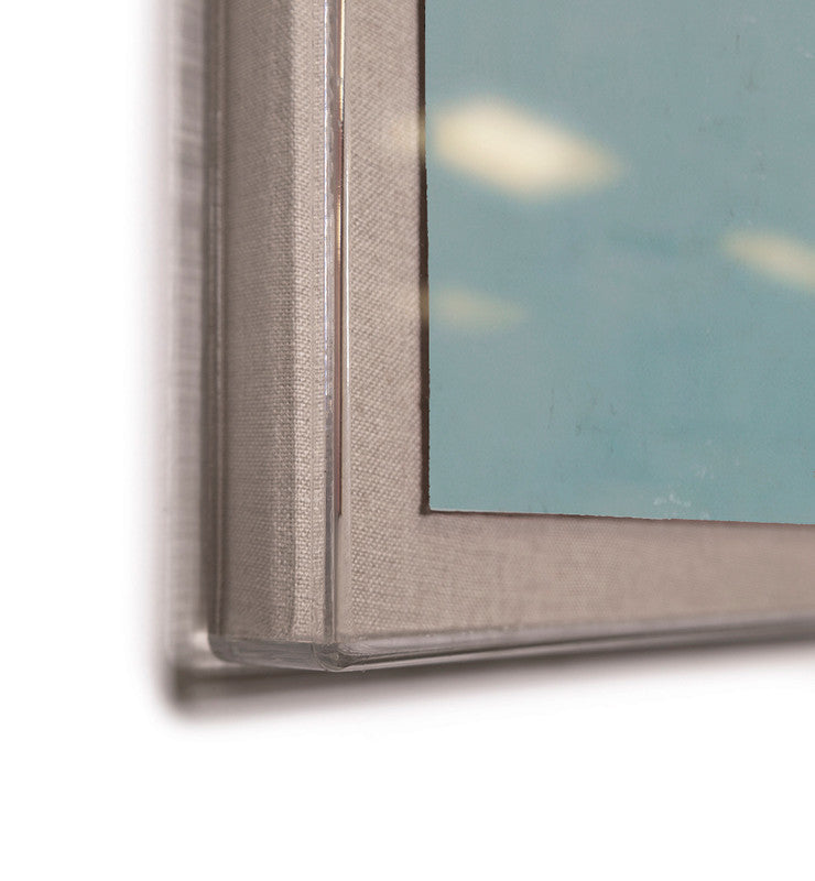 Paule Marrot Camellia Art