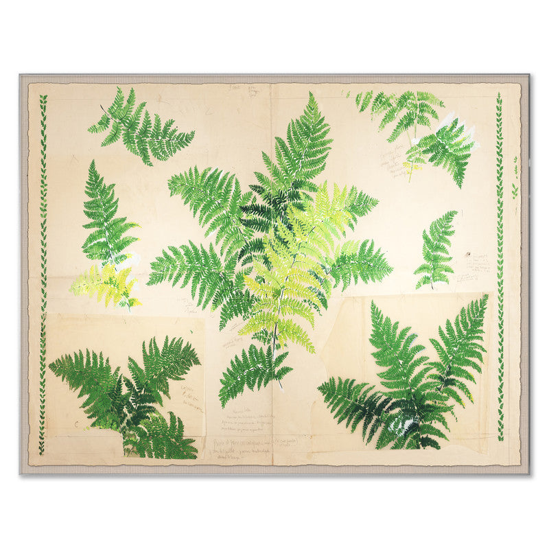 Paule Marrot Fern Art