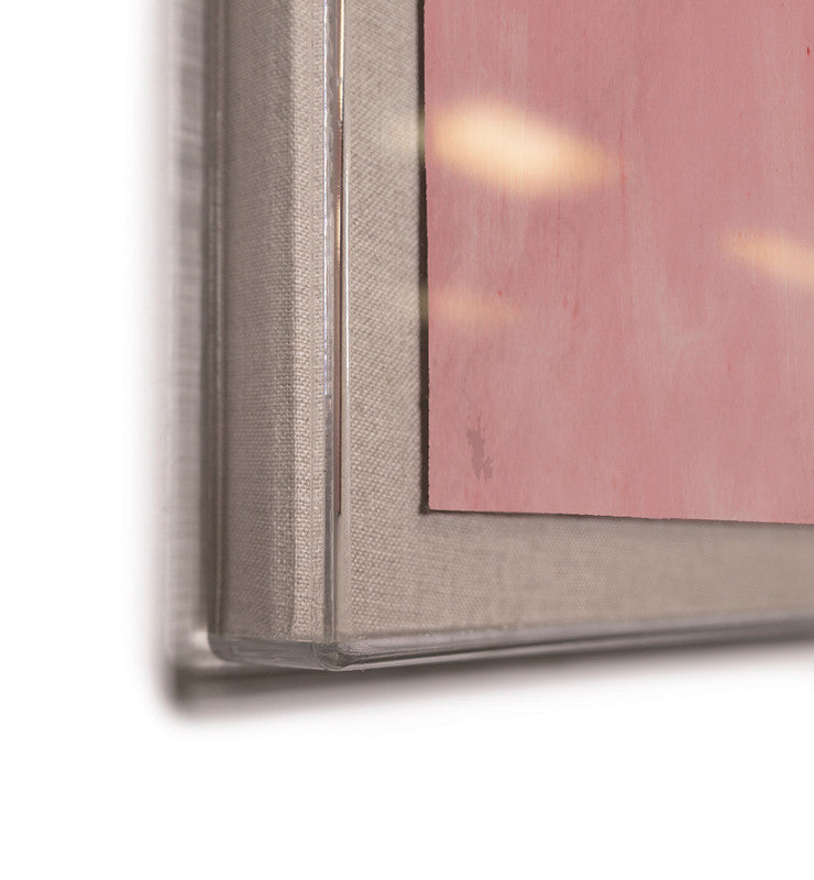 Paule Marrot Pink Birds Art