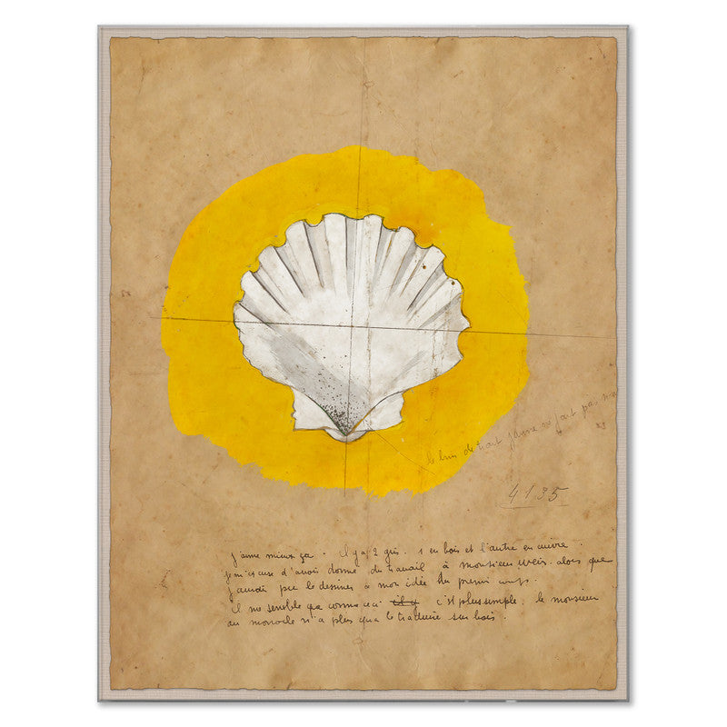 Paule Marrot Shell 1 Art