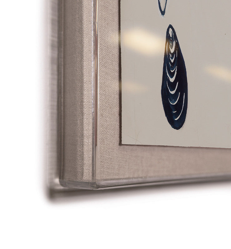 Paule Marrot Shell 2 Art