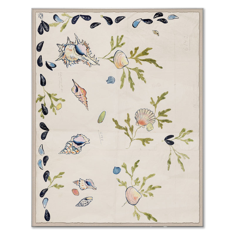 Paule Marrot Shell 2 Art