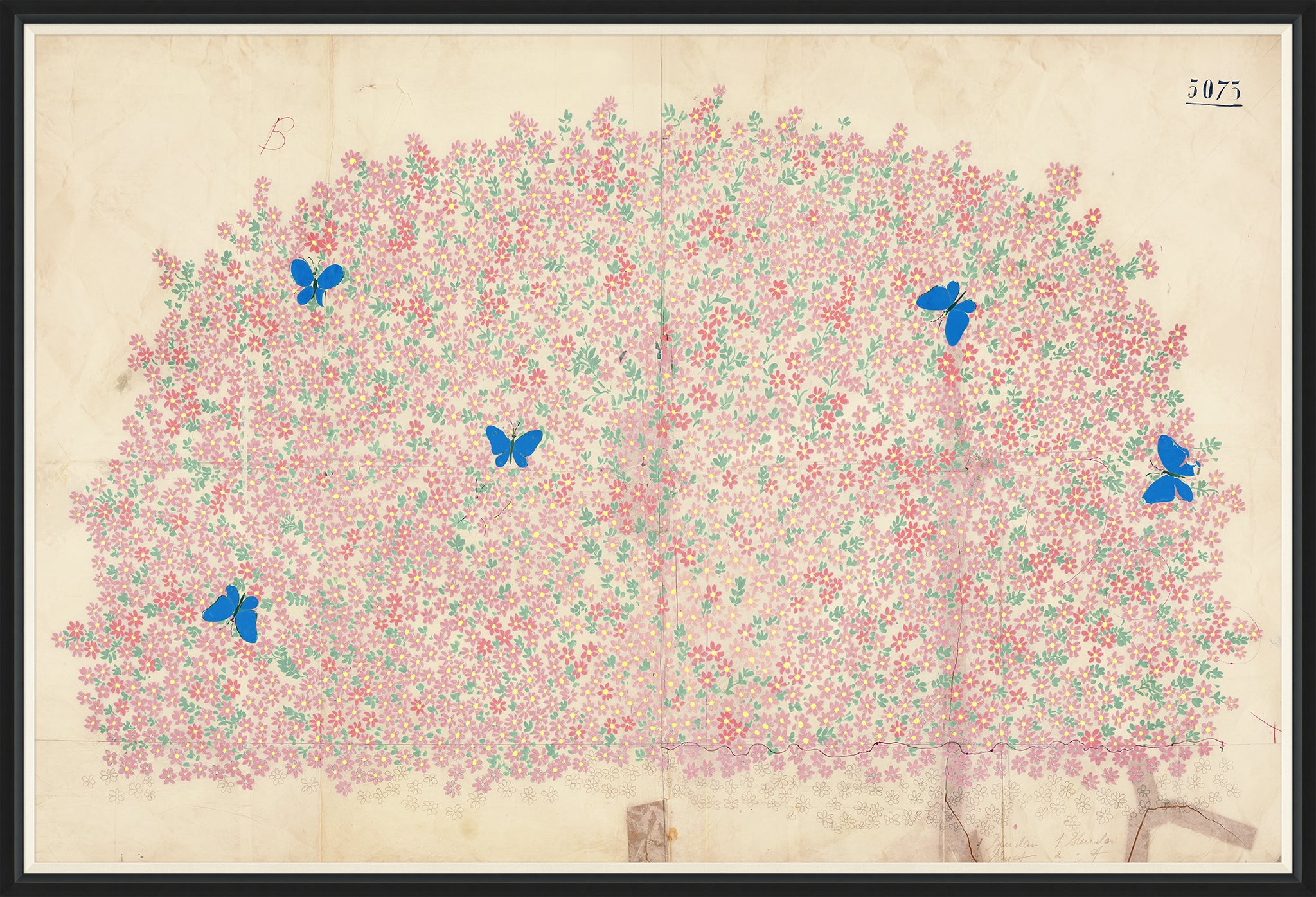 Paule Marrot Myosotis Art