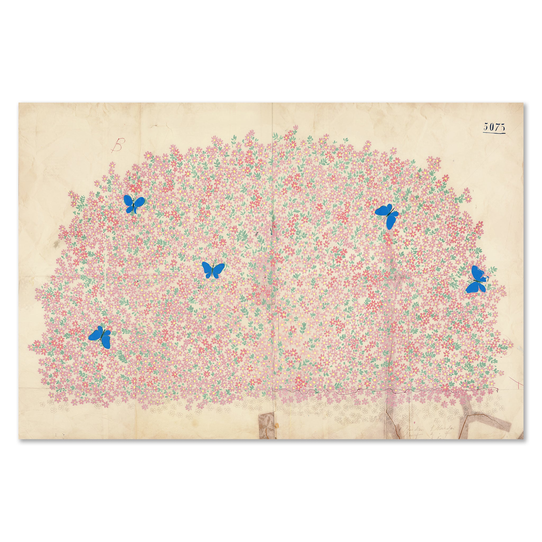 Paule Marrot Myosotis Art