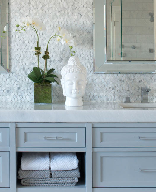 Diane James Phalaenopsis Orchid, 2 Stems