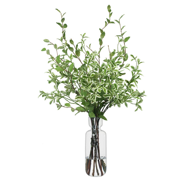 Diane James Variegated Leaf Branches In Modern Glass Vase