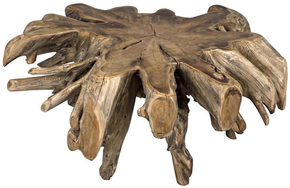 Noir Teak Root Coffee Table