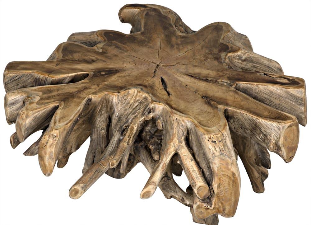 Noir Teak Root Coffee Table