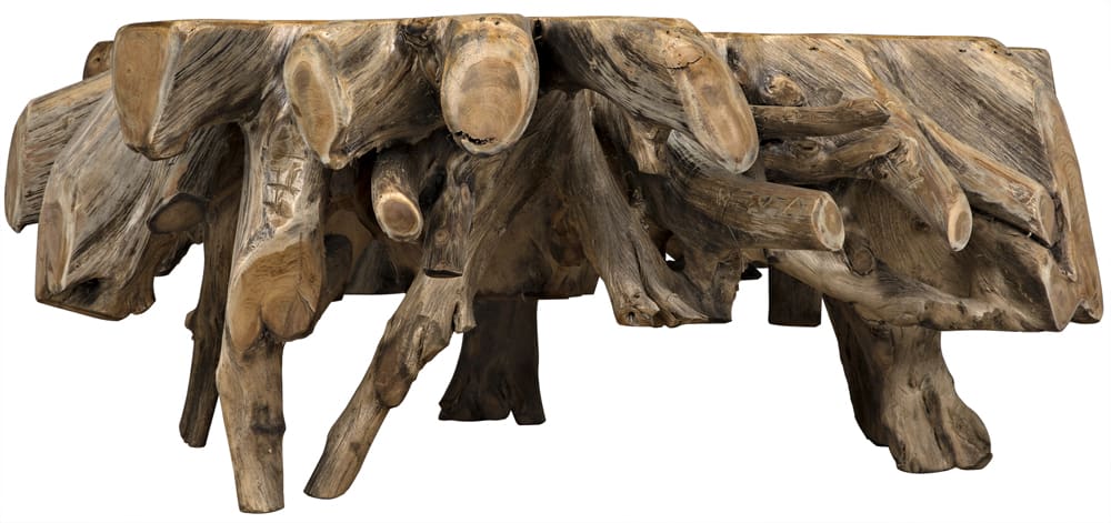Noir Teak Root Coffee Table
