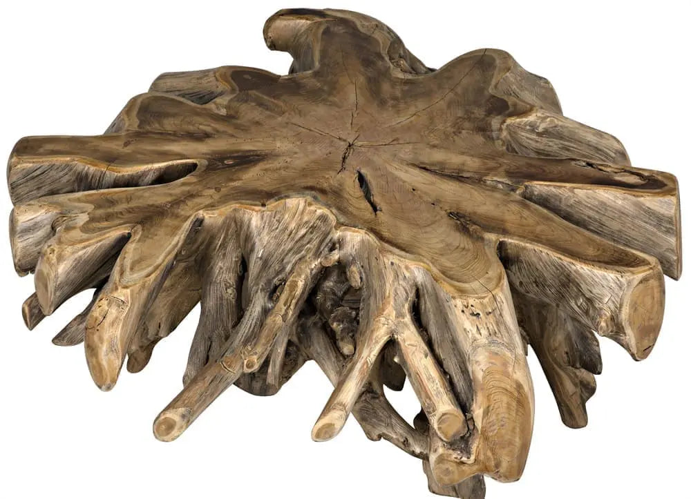 Noir Teak Root Coffee Table