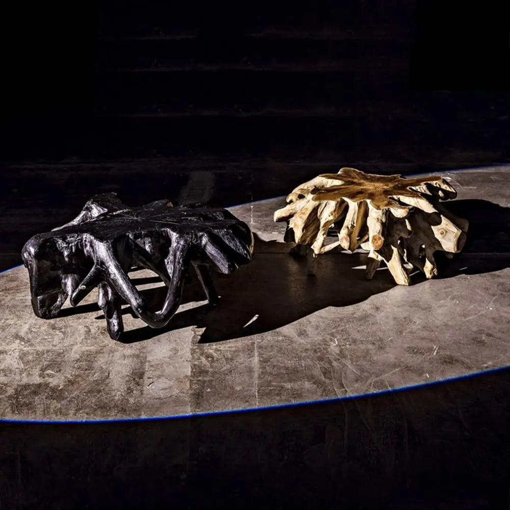 Noir Teak Root Coffee Table