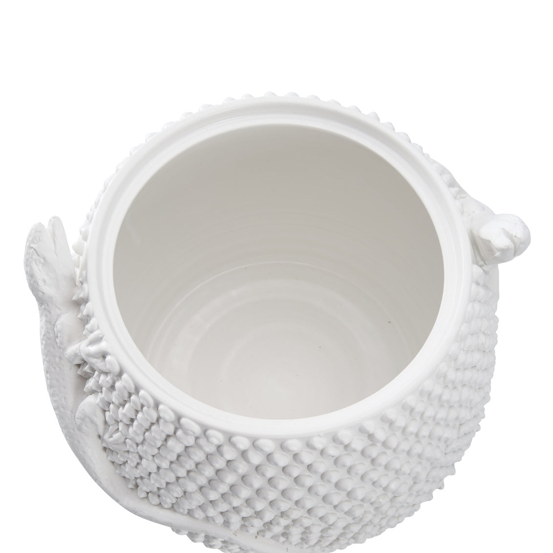 Wildwood Anolis Canister White