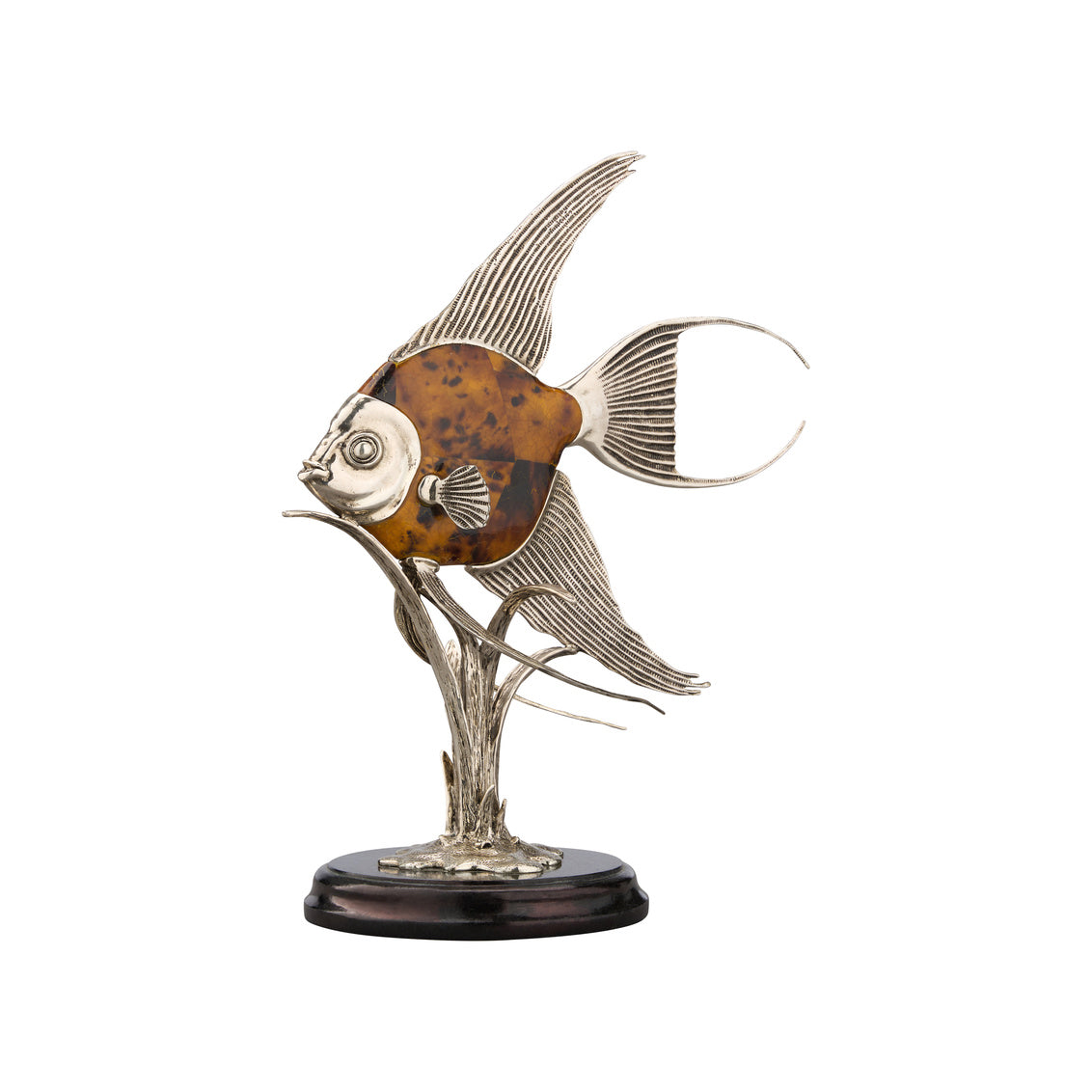 Wildwood Angelfish Tiger Pen Shell