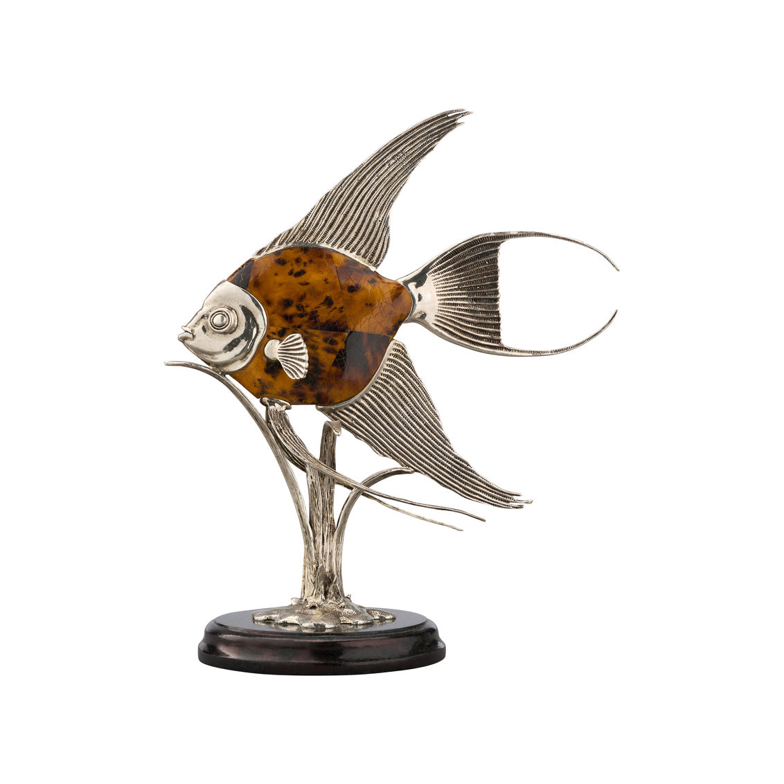 Wildwood Angelfish Tiger Pen Shell