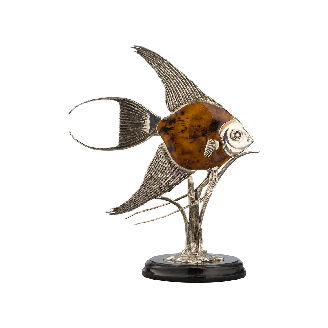 Wildwood Angelfish Tiger Pen Shell