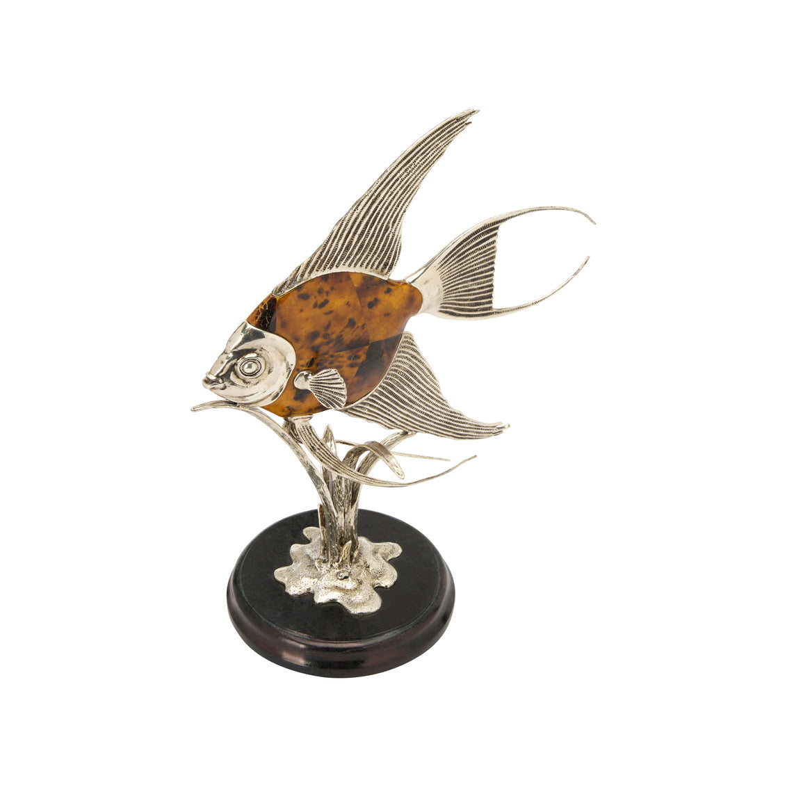 Wildwood Angelfish Tiger Pen Shell