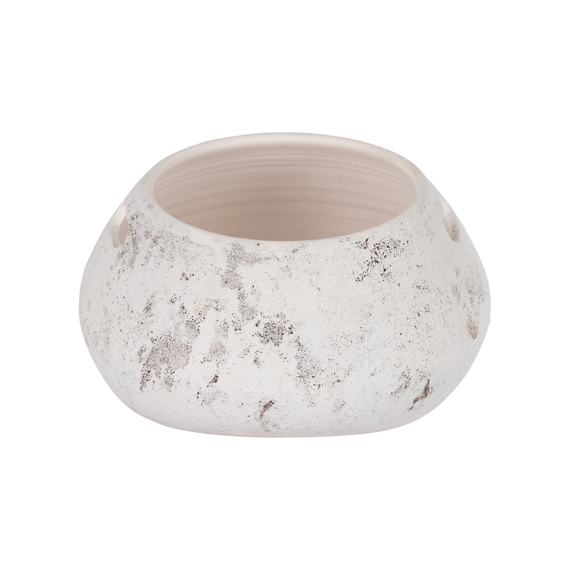 Wildwood Palmira Cachepot