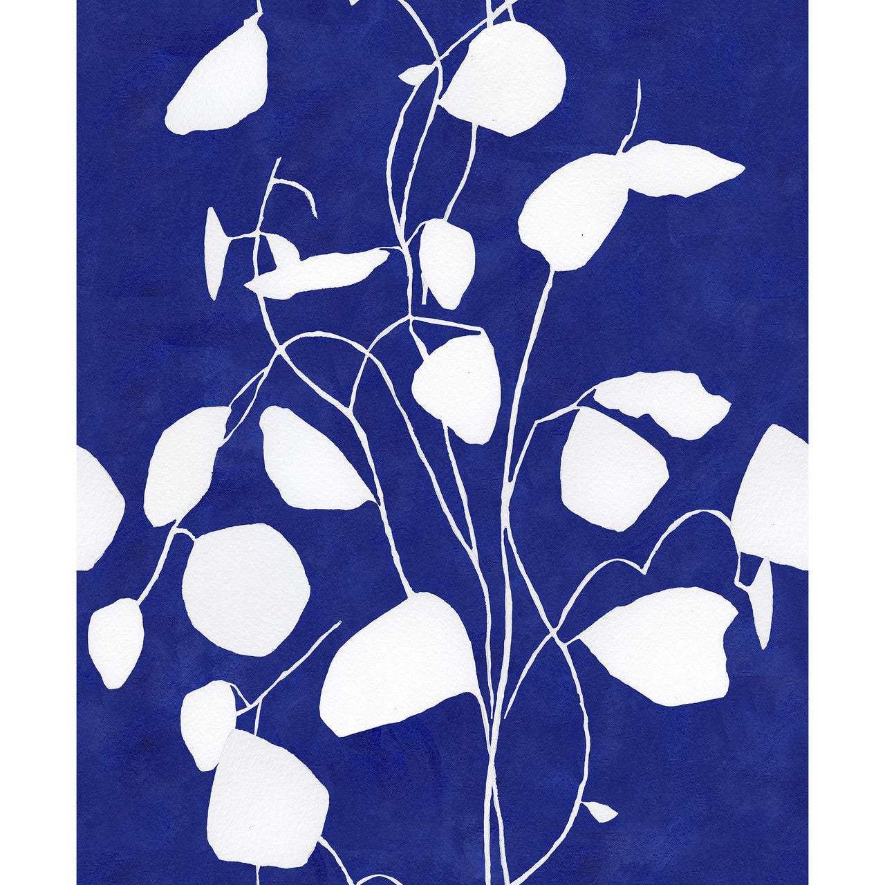 Susan Hable Money Plant Wallpaper