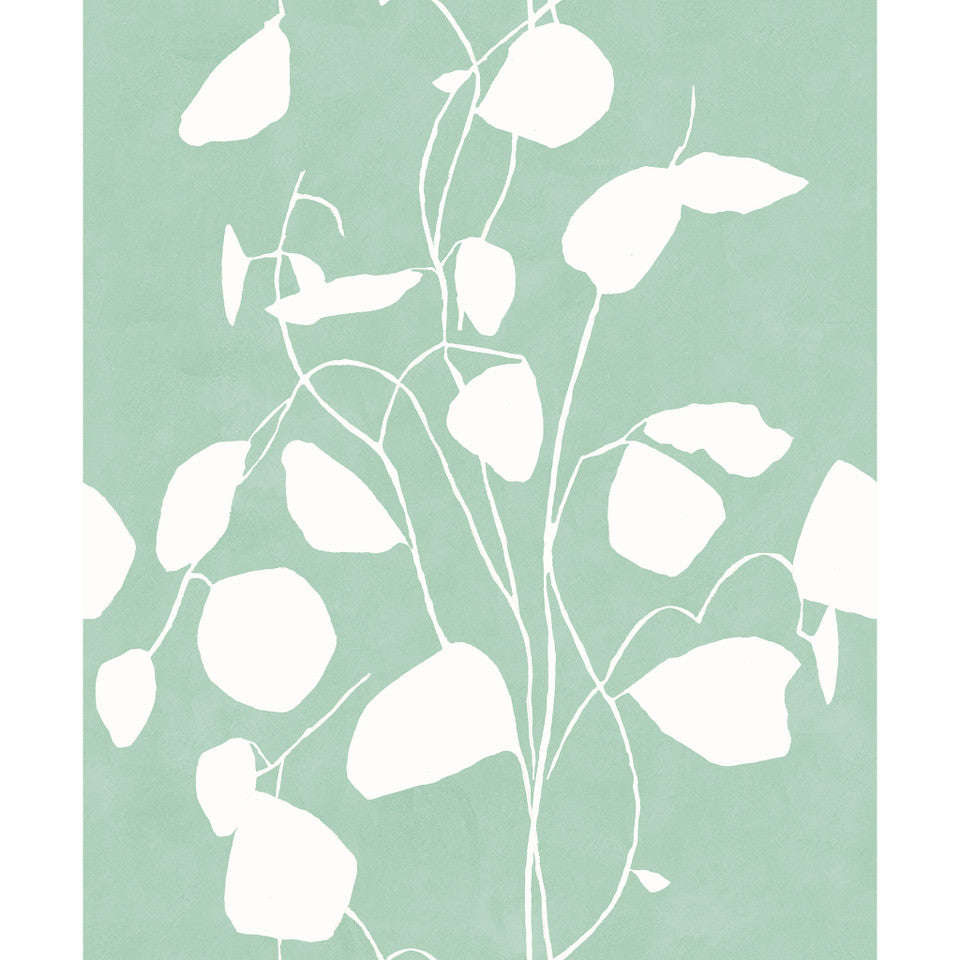 Susan Hable Money Plant Wallpaper