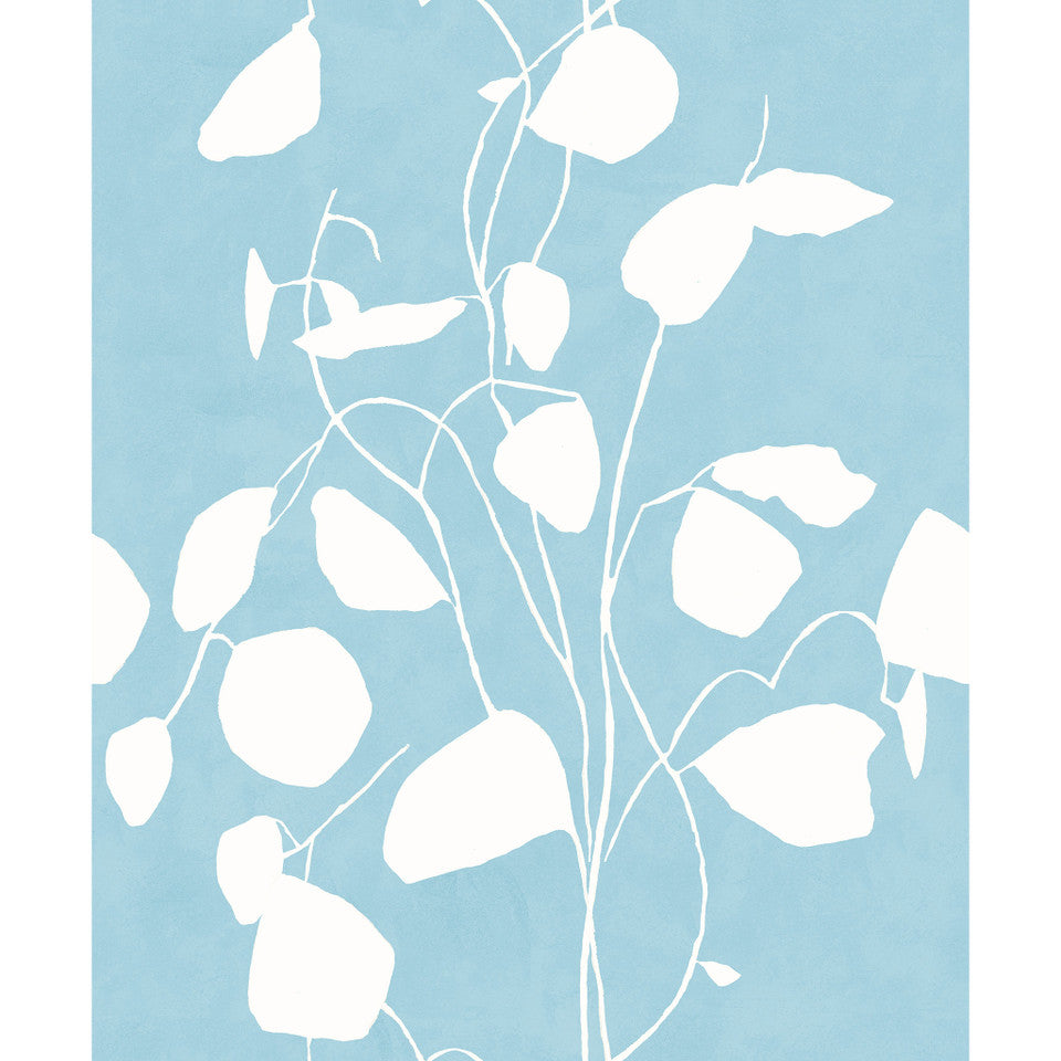 Susan Hable Money Plant Wallpaper
