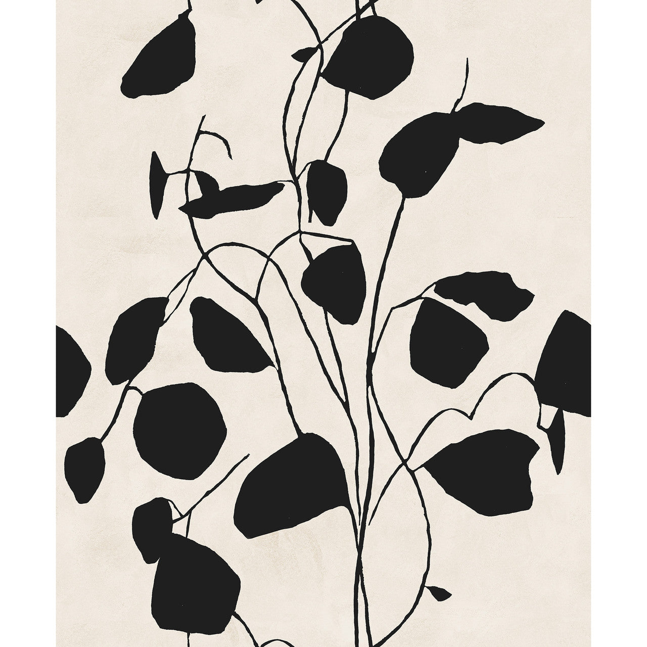 Susan Hable Money Plant Wallpaper