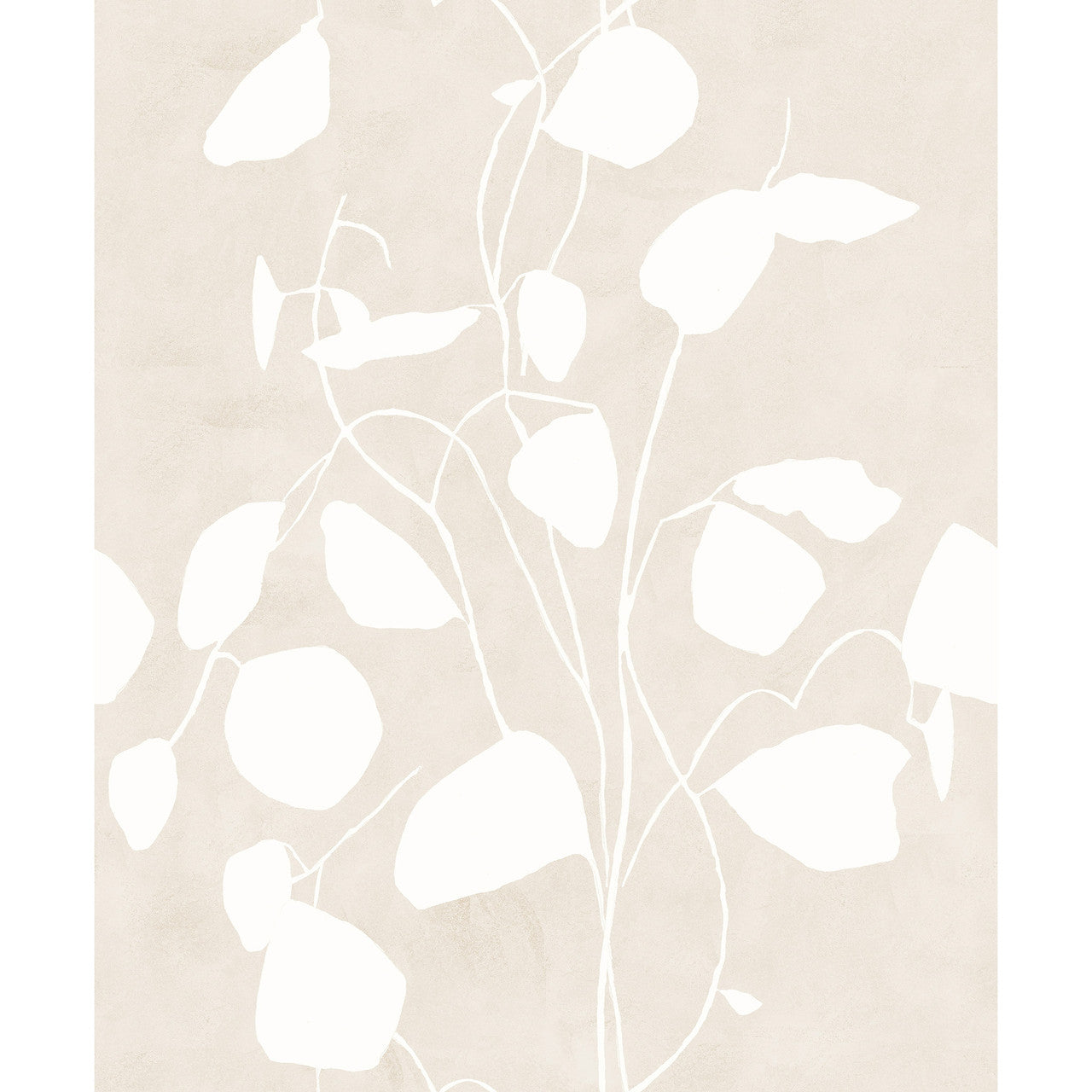 Susan Hable Money Plant Wallpaper