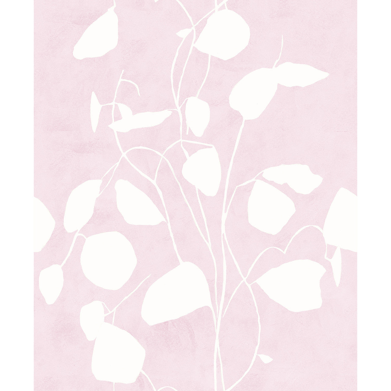 Susan Hable Money Plant Wallpaper
