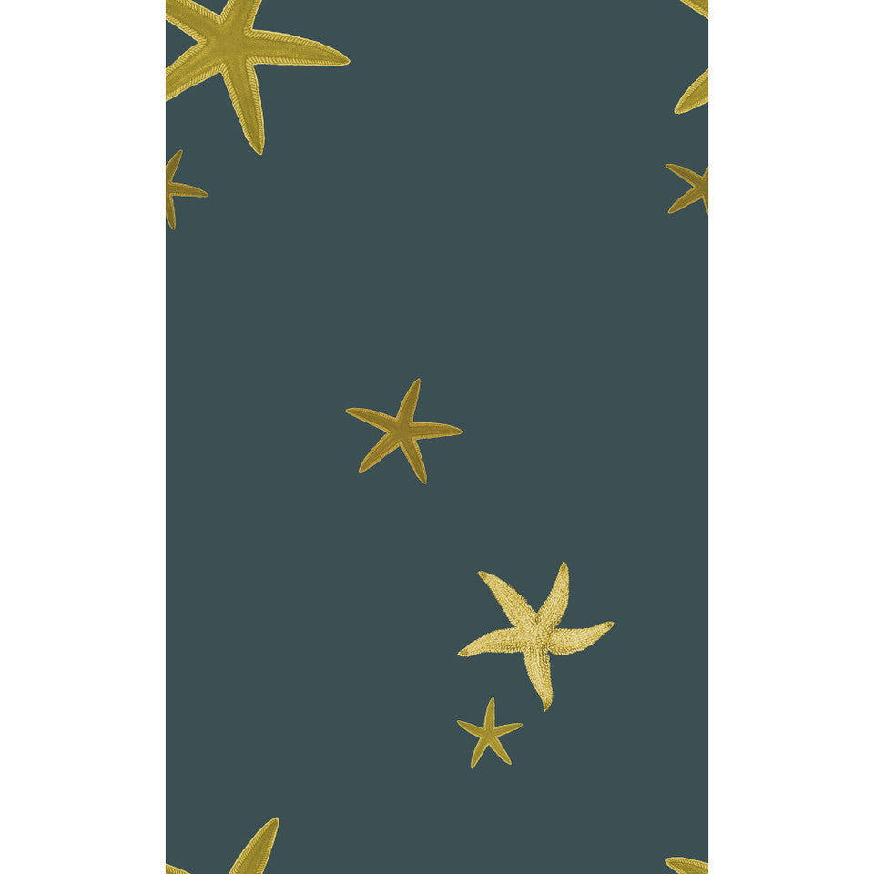 Yuki Osada Sea Stars Wallpaper