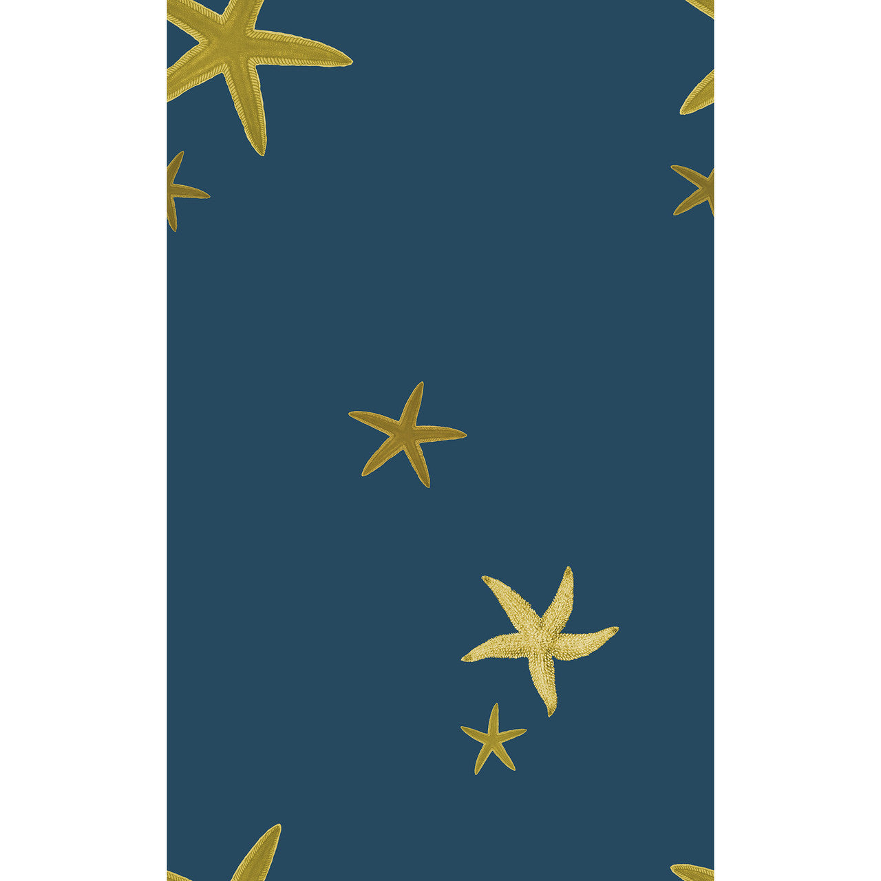 Yuki Osada Sea Stars Wallpaper