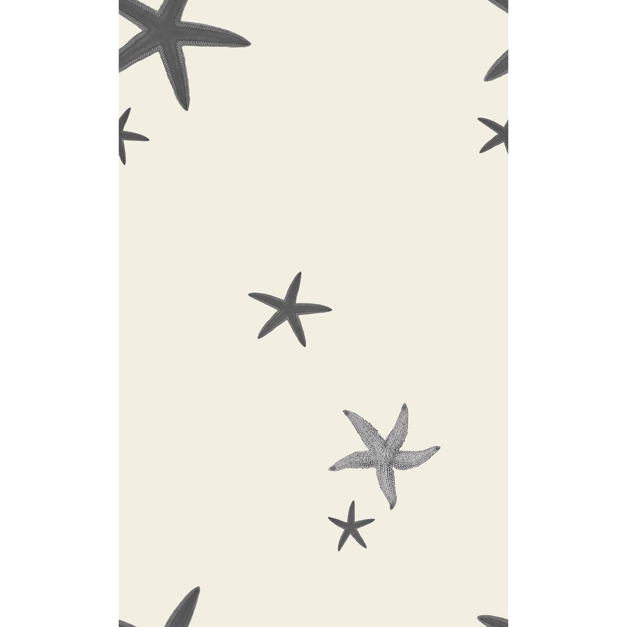 Yuki Osada Sea Stars Wallpaper
