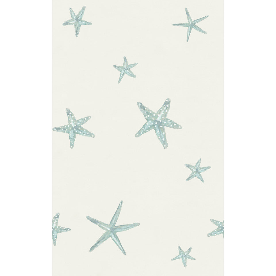 Yuki Osada Sea Stars Wallpaper