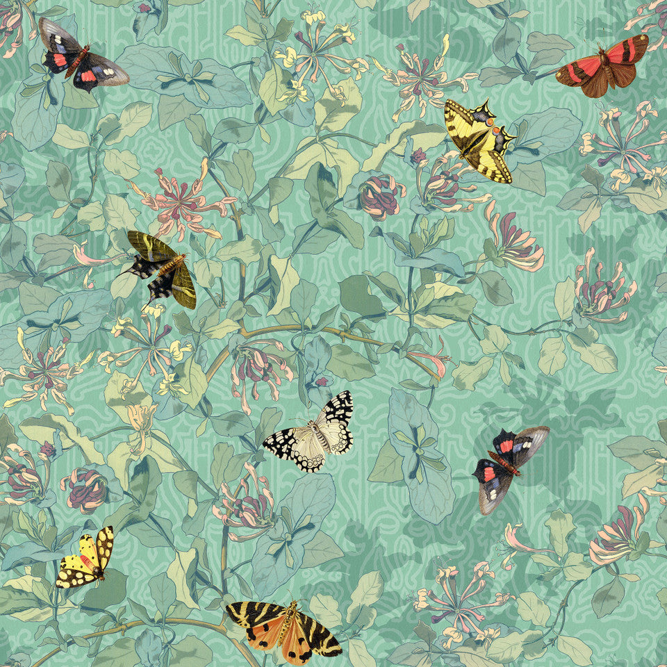 Yuki Osada Morning Glory Butterflies Wallpaper