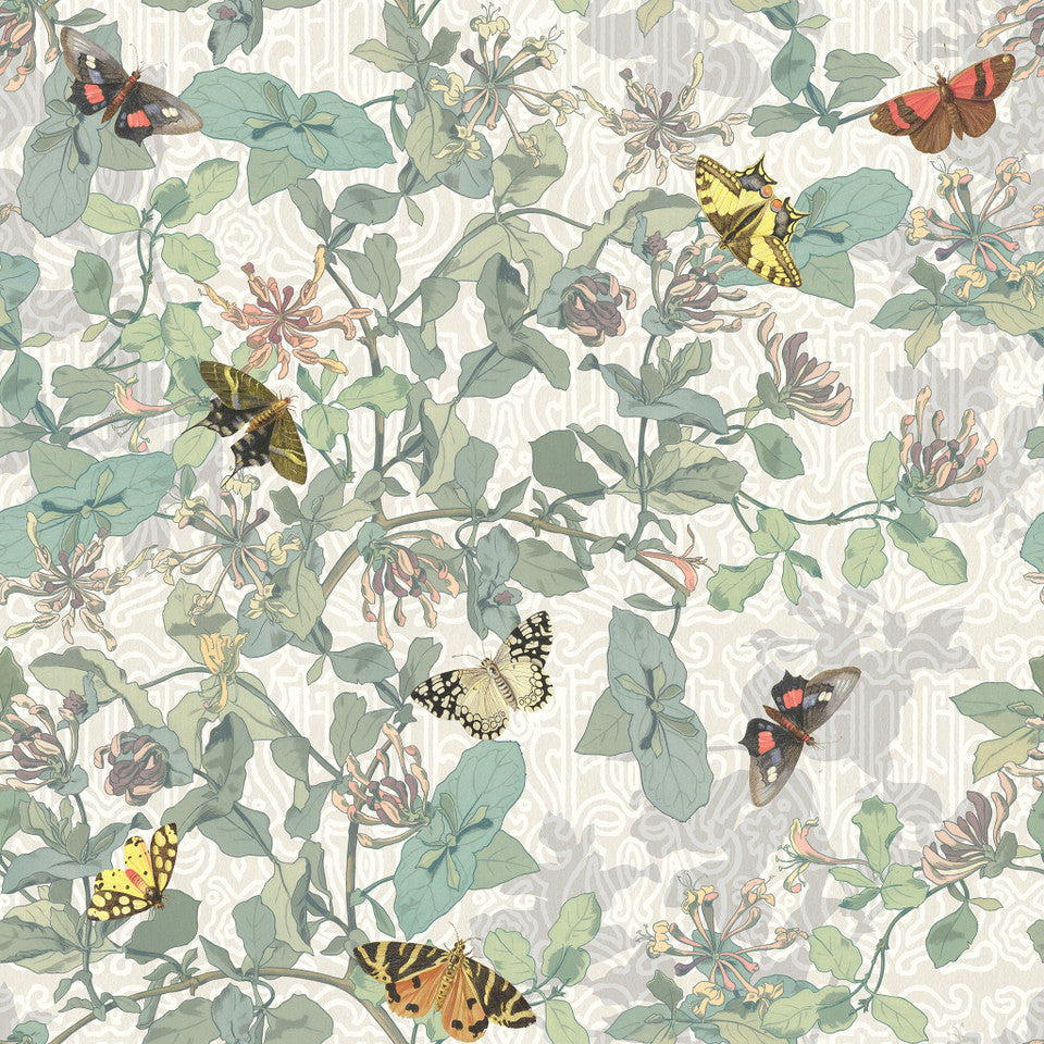 Yuki Osada Morning Glory Butterflies Wallpaper