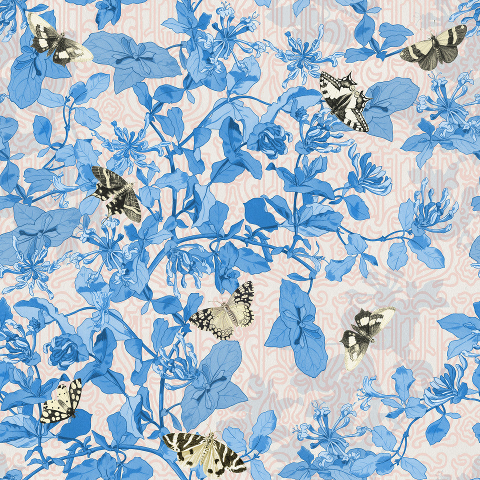 Yuki Osada Morning Glory Butterflies Wallpaper