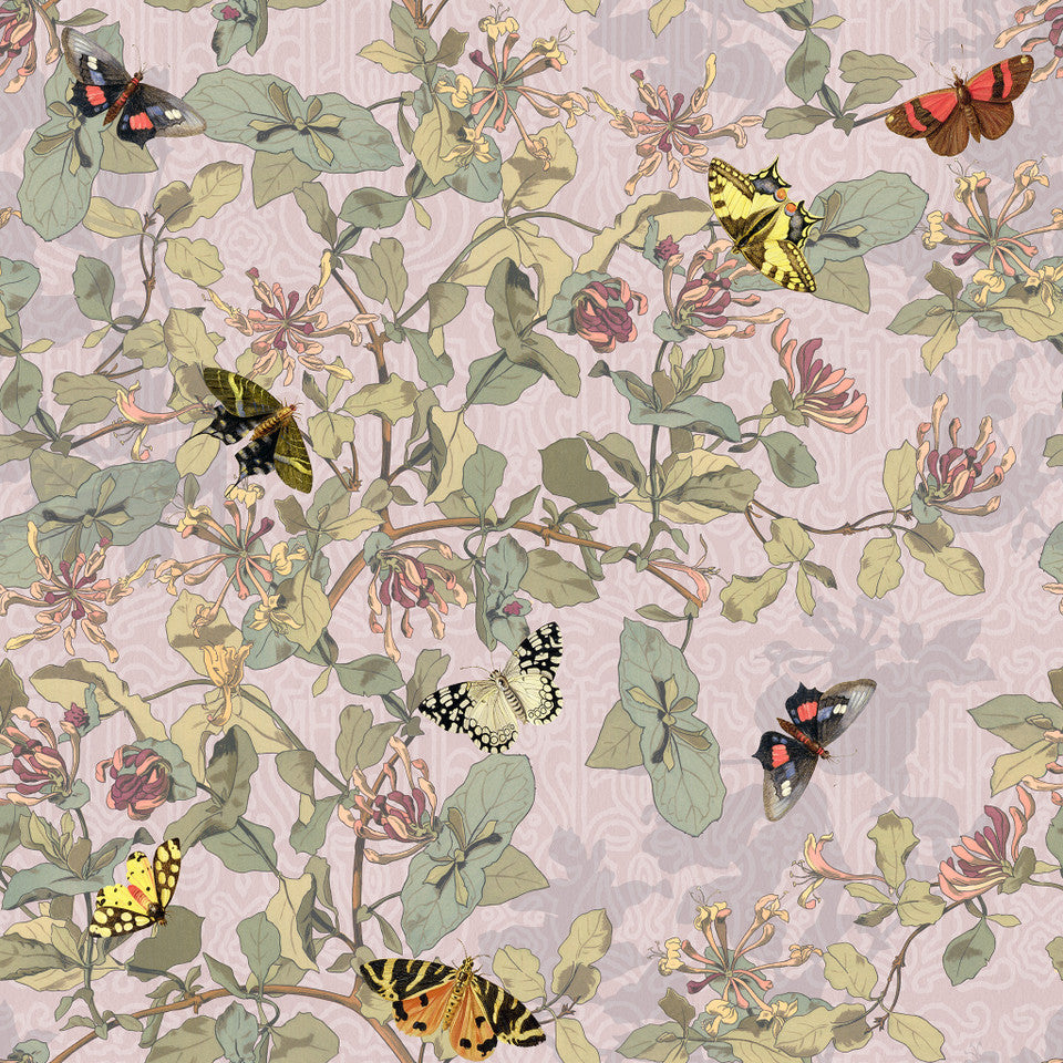 Yuki Osada Morning Glory Butterflies Wallpaper