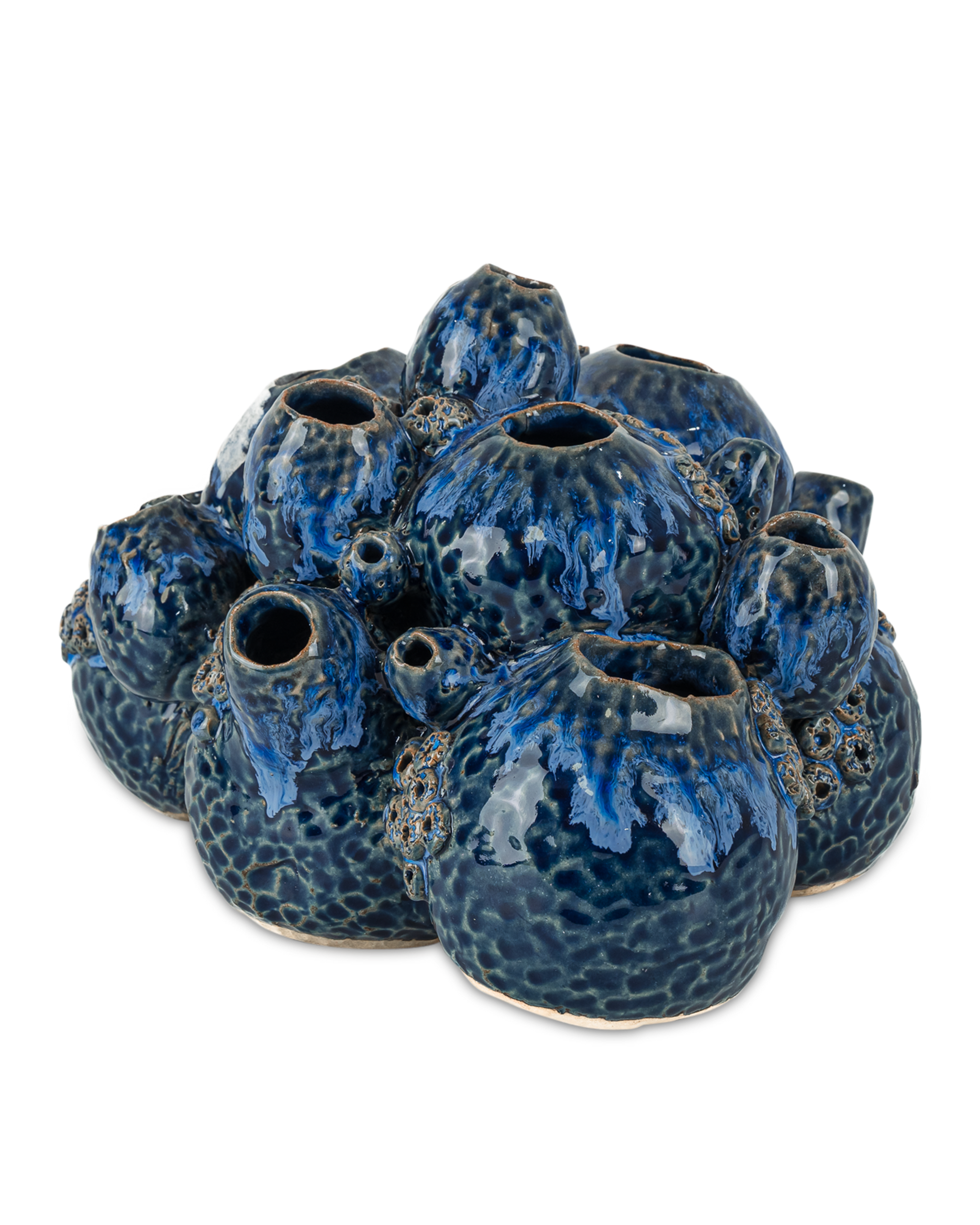 Currey & Company Sulawasi Blue Shells