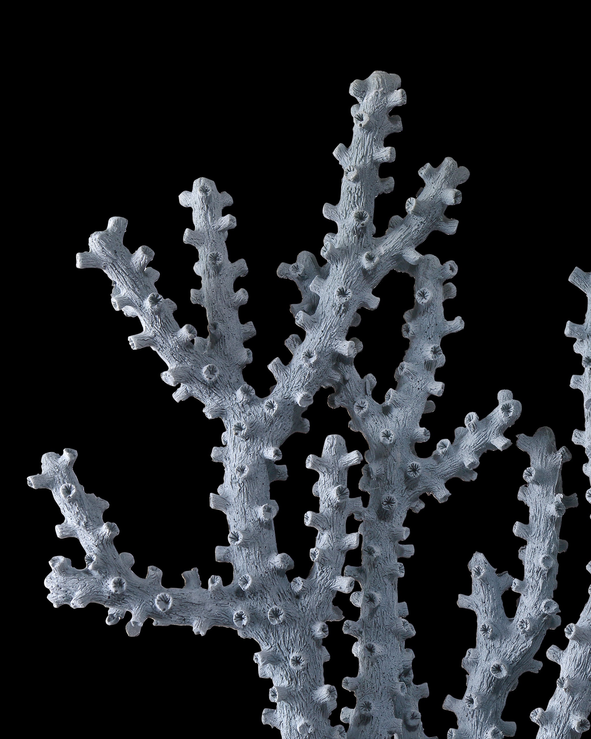 Currey & Company Blue Coral Set Of 2