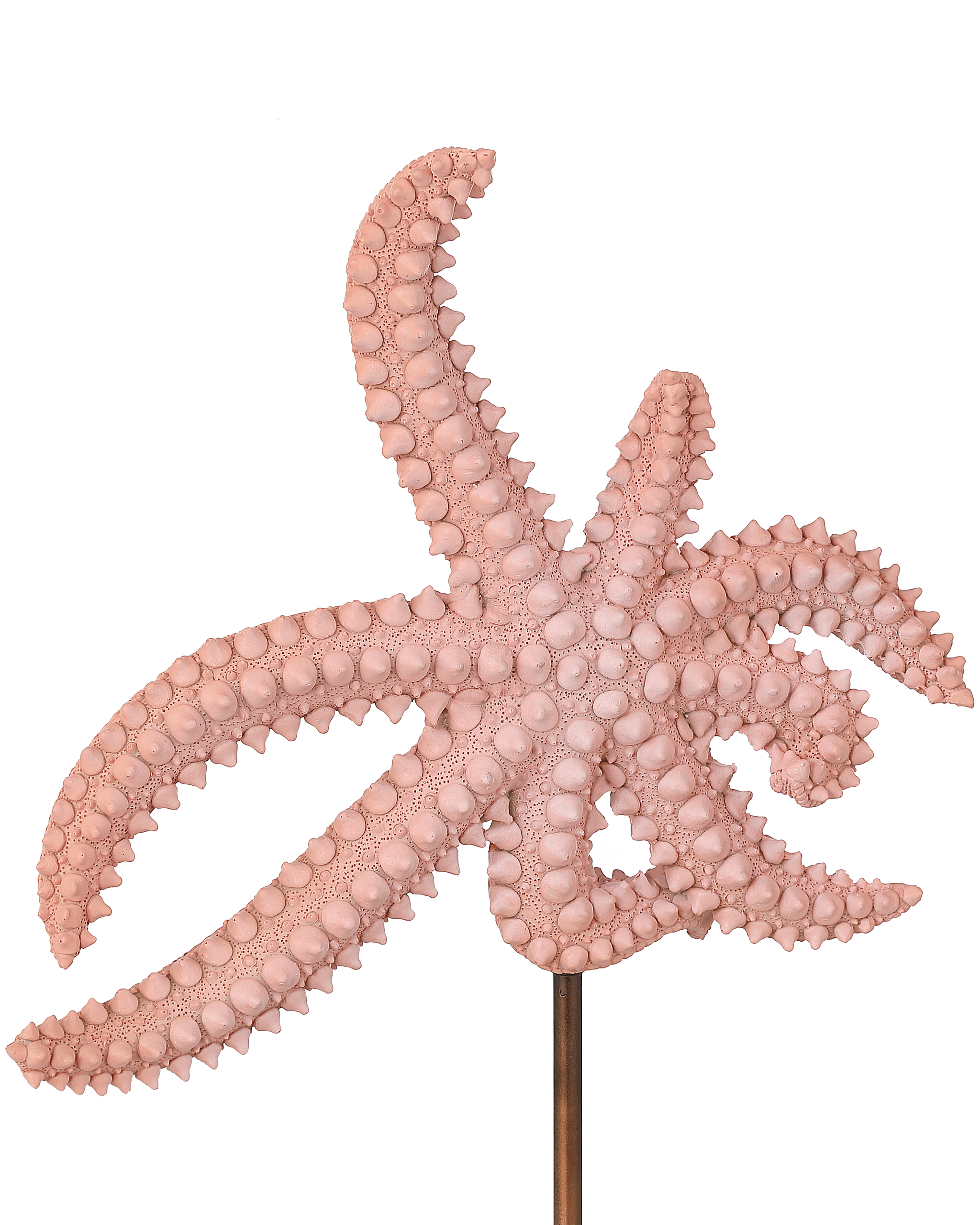 Currey & Company Starfish Set Of 2