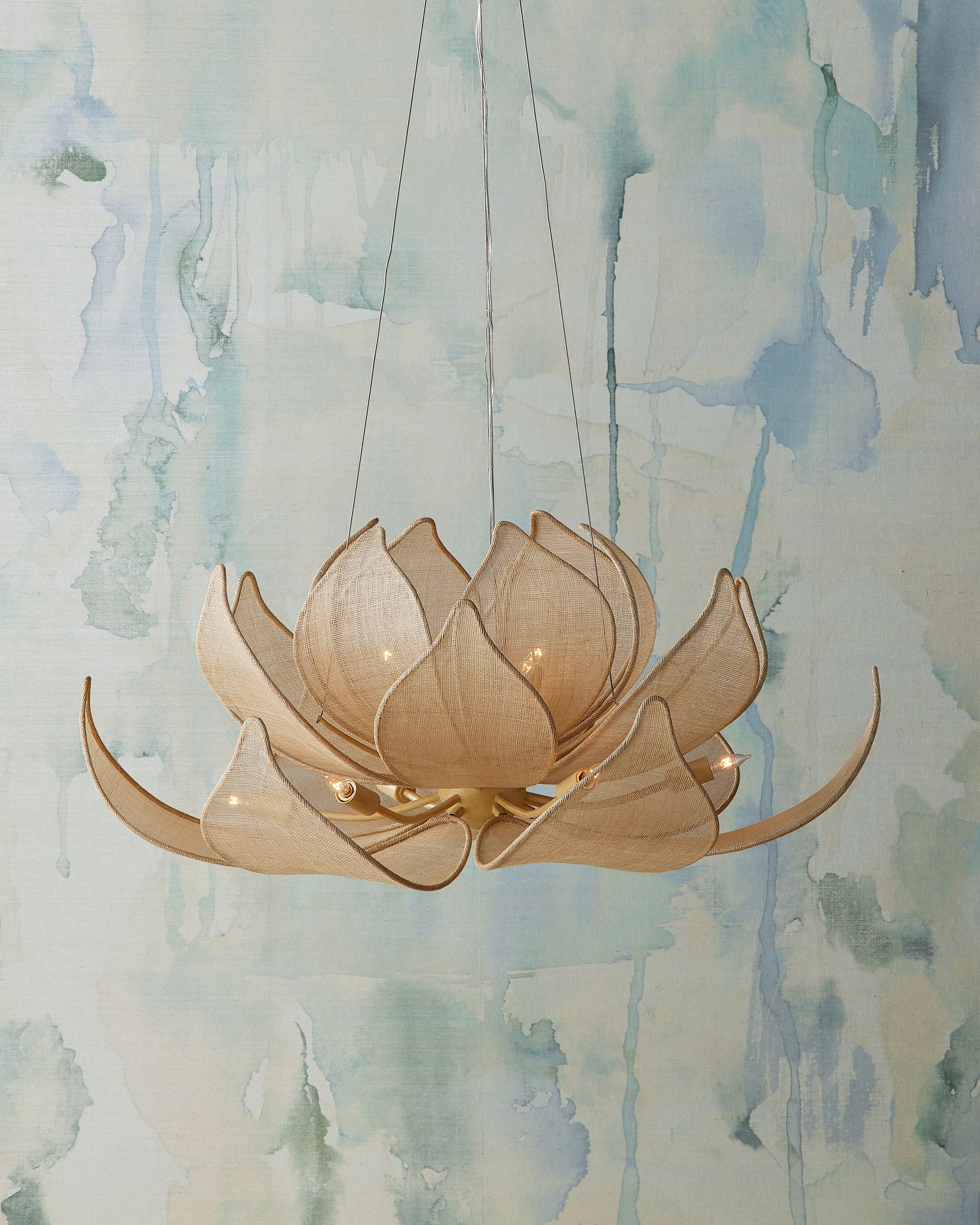 Currey & Company Oblivion Chandelier