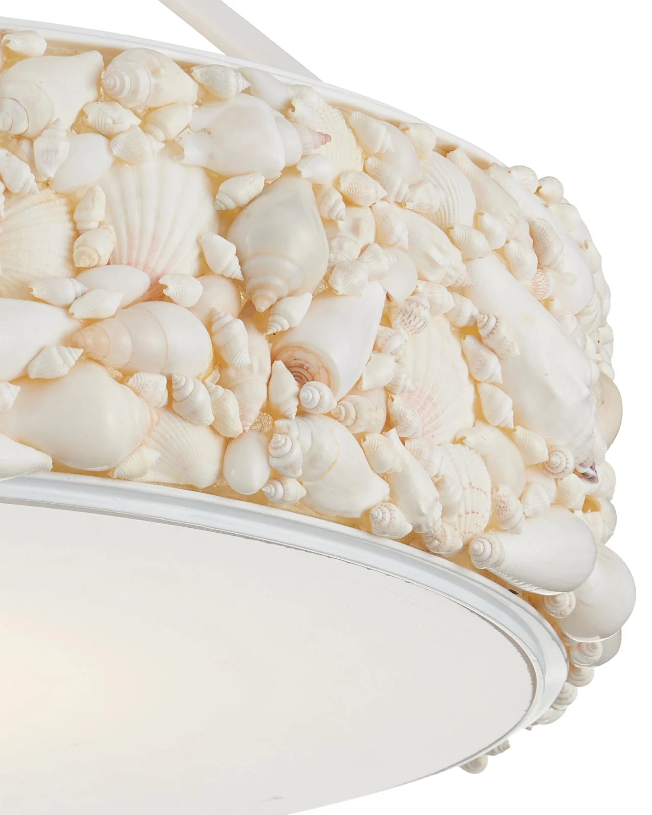 Currey & Company 10.5" X 18.5" Turbinella 1 Light Semi Flush Mount