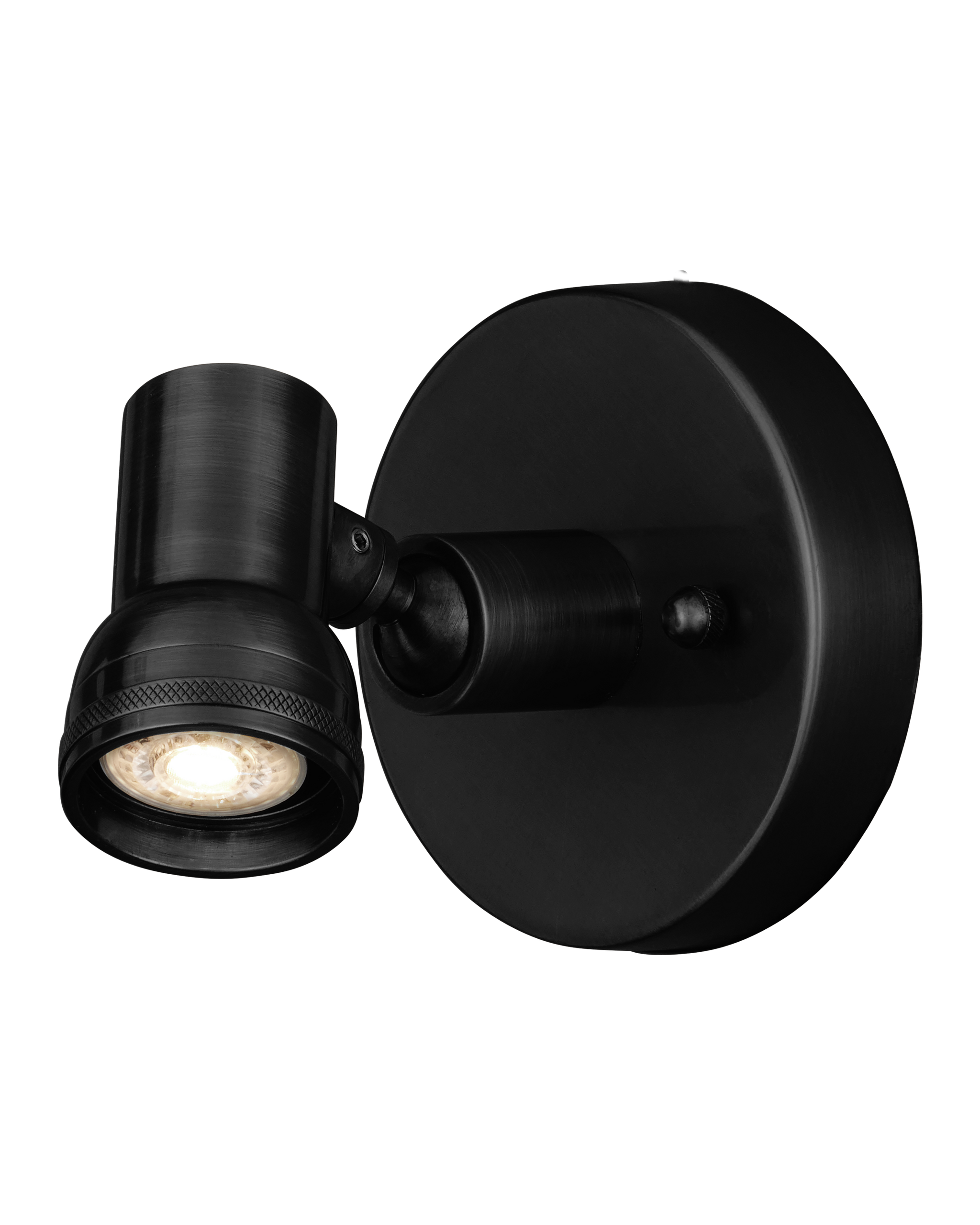 Currey & Company Patterson Picture Light